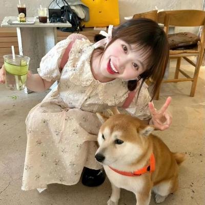 没有和解